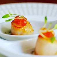 dish photo 1